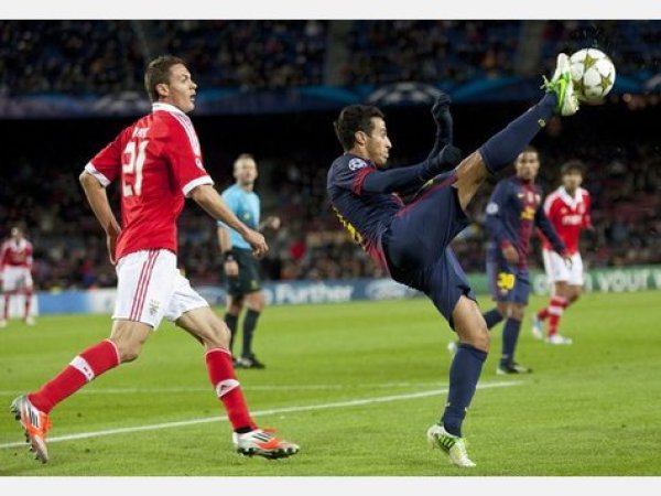  波鸿升班马顽强拼搏书写德甲励志篇章